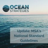 What are the MSA's National Standards 4, 8 & 9 (Allocations, Communities and Bycatch) and why might they be changing?