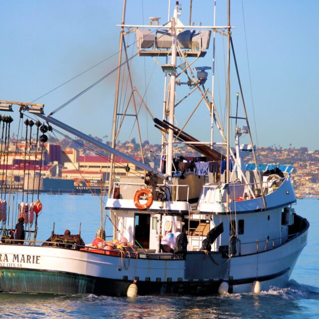 What We’re Tracking for 2024: National Fisheries Policy Report