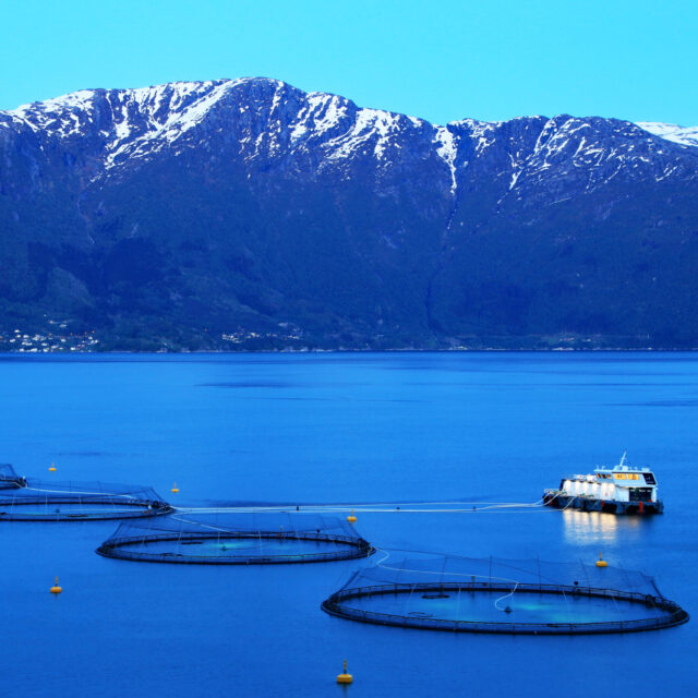 Aquaculture Policy Report: April 2024