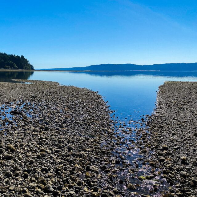 Triton Tidelands in Puget Sound, Washington USA.