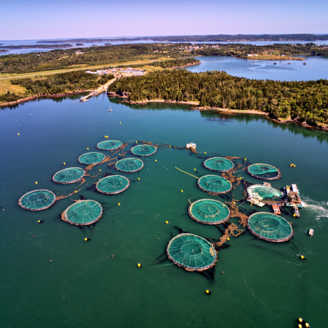 Eye on 2025: Aquaculture Policy Report