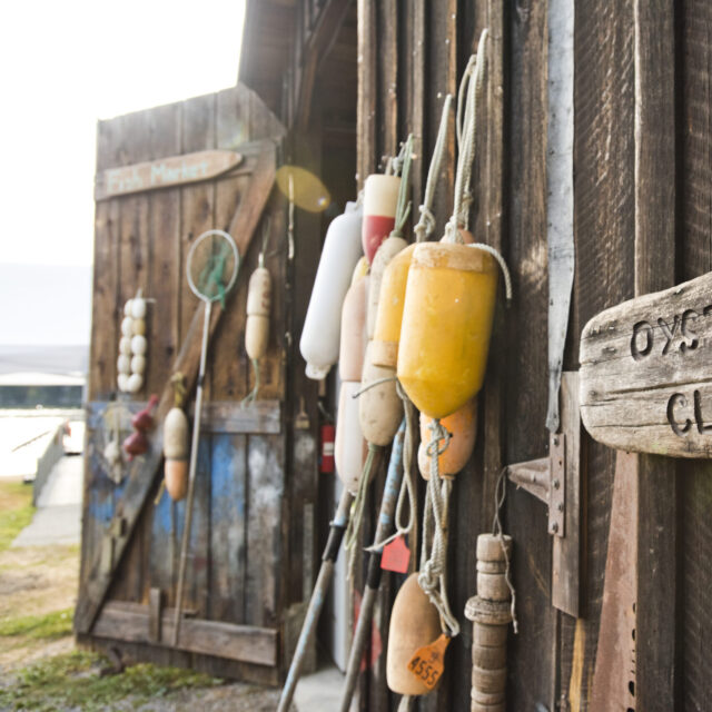 OS Shellfish Survey 2025