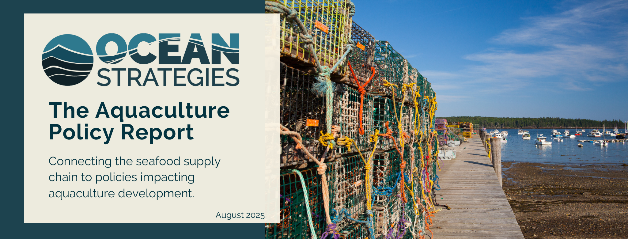 August 2025 National Aqua https://oceanstrat.com/wp-content/uploads/2025/08/August-2025-National-Aqua-.png