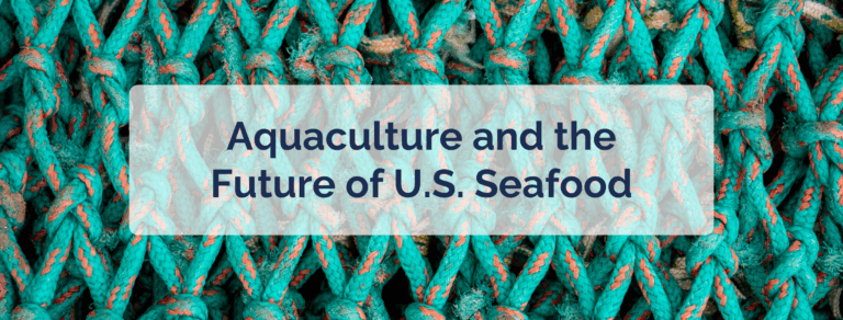 https://oceanstrat.com/wp-content/uploads/2025/09/Fall-2025-main-content-banner-5-768x292.png