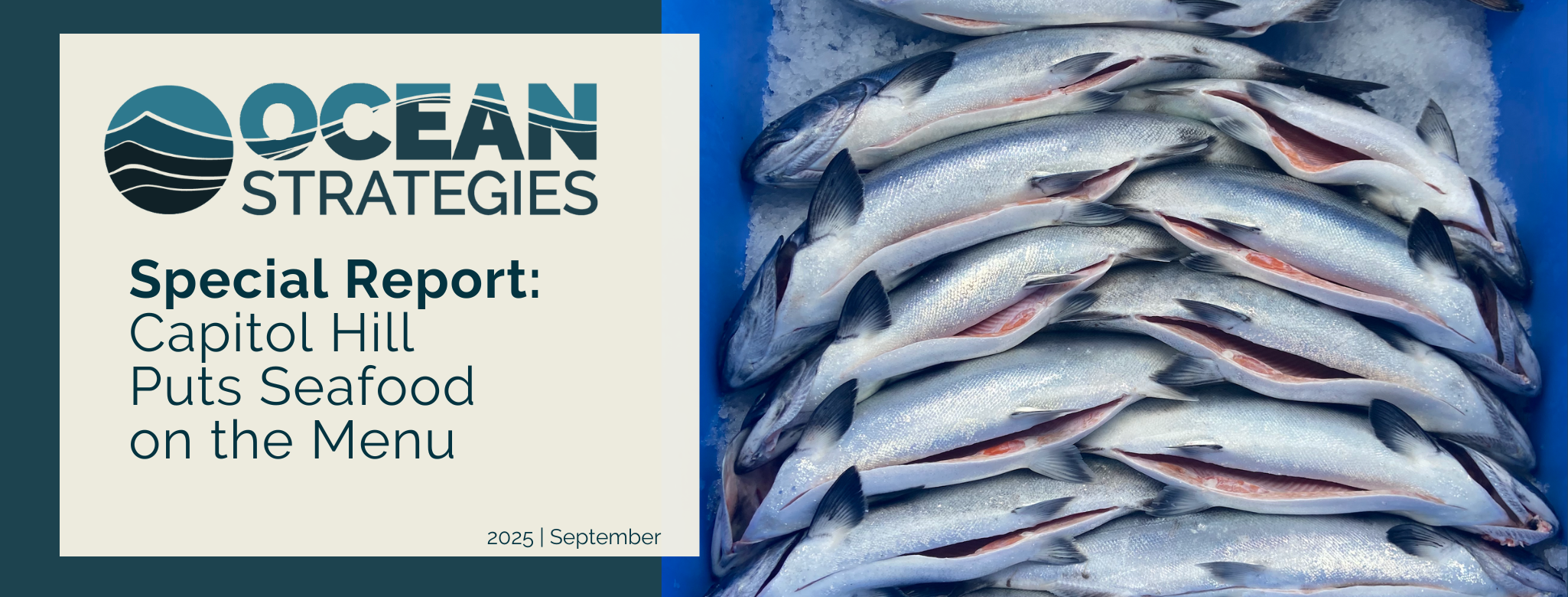 https://oceanstrat.com/wp-content/uploads/2025/09/Fall-2025.png