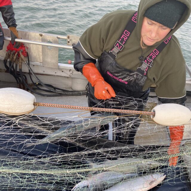 https://oceanstrat.com/wp-content/uploads/2025/10/Fishing-Business-Bristol-Bay-2020-1-scaled-e1761912838559-640x640.jpg