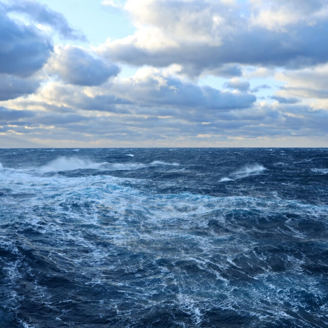 Fisheries Policy Report: Regional Needs Define Federal Seafood Policy Fisheries Policy Report: Regional Needs Define Federal Seafood Policy