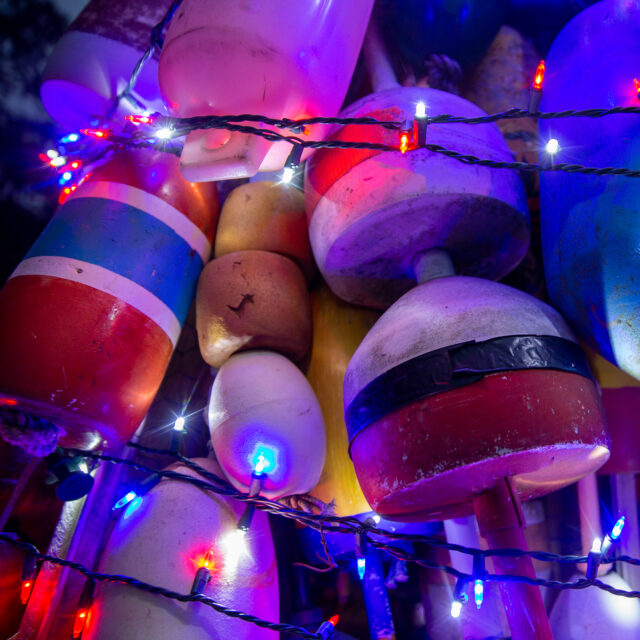 2026 Policy Outlook 2026 Policy Outlook